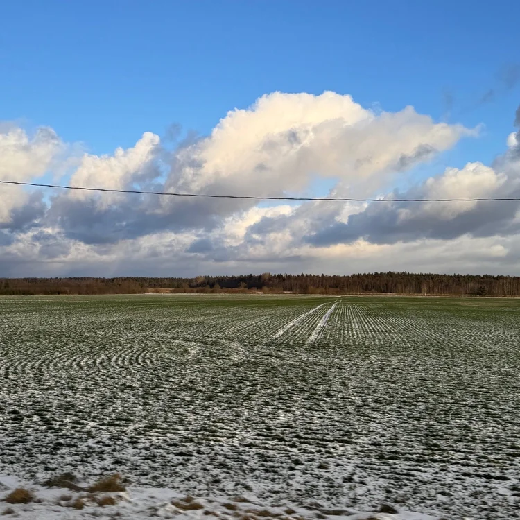 ZEMGALE — Crop Farm | 715 ha [RESERVED]