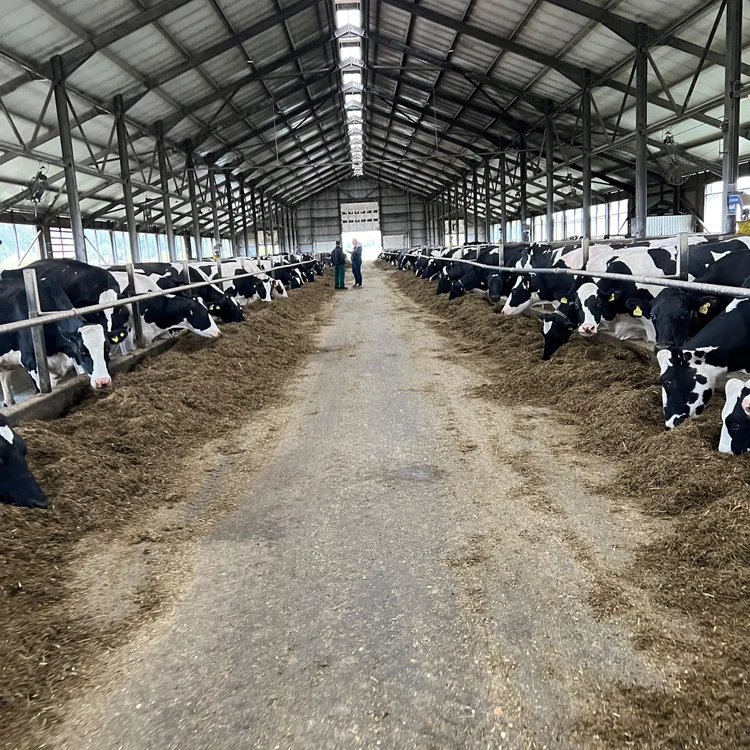 VIDZEME — Large Crop Farm — Vidzeme | ~2,800 ha